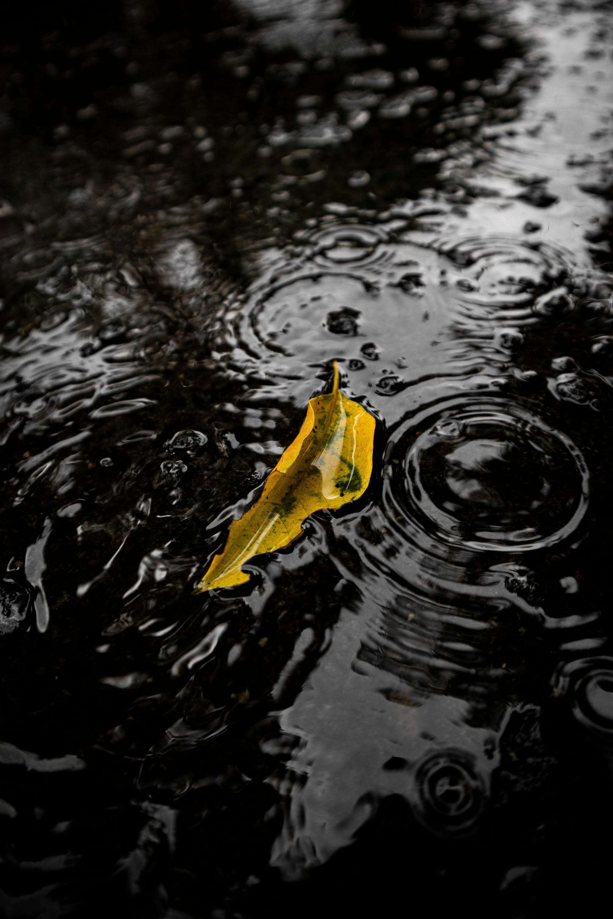 《断断续续的雨》