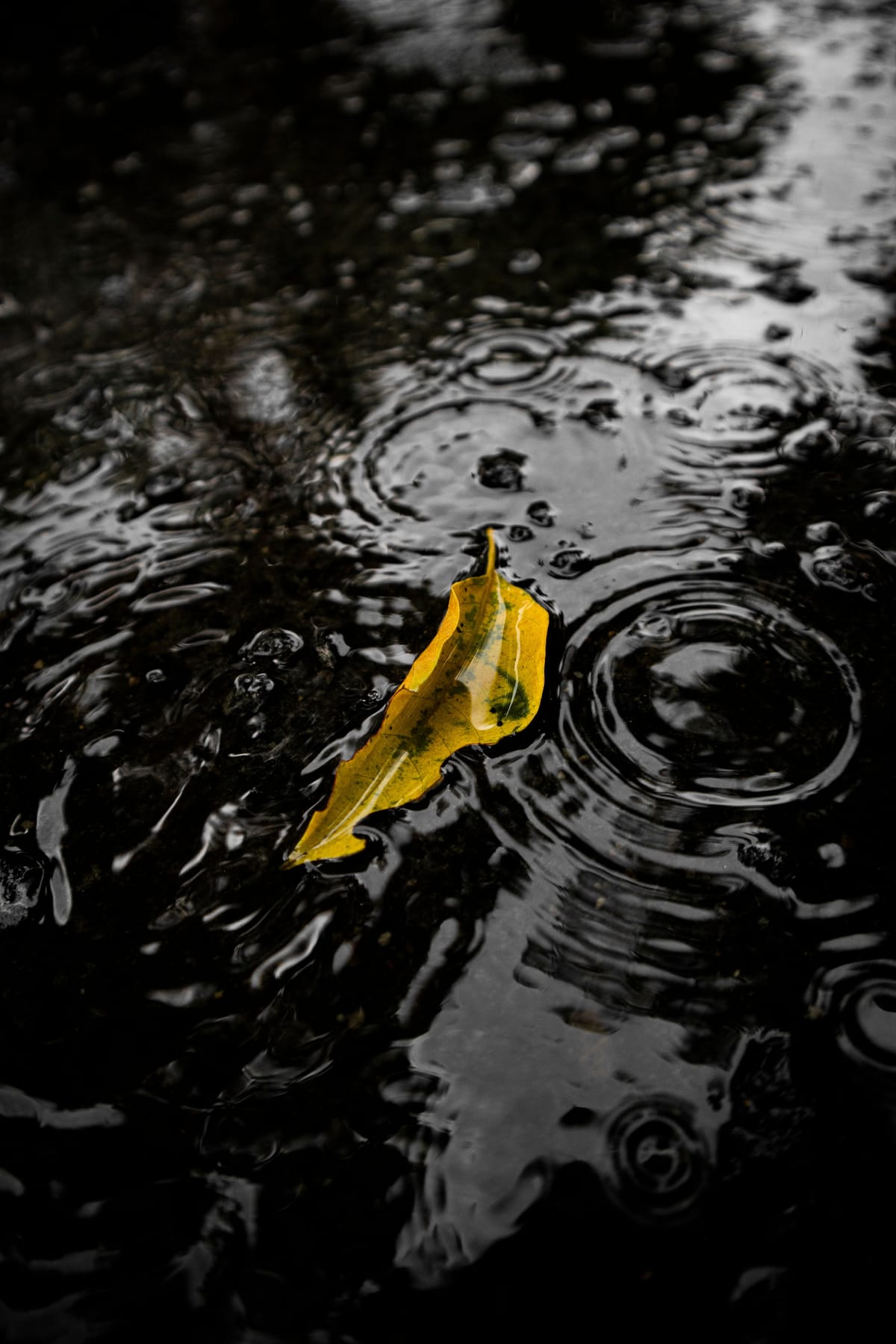 《断断续续的雨》