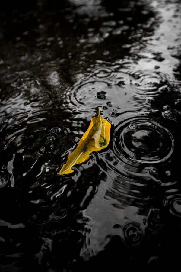 《断断续续的雨》